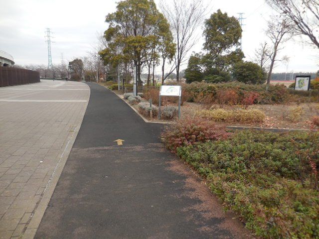 埼玉スタジアム2002公園 ジョギングコース