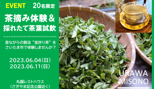 浦和美園で茶摘み体験「昔ながらの製法 “釜炒り茶” をたのしむ」20名限定・2023年6月開催【満員御礼】