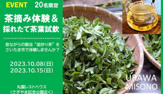浦和美園で茶摘み体験「昔ながらの製法 “釜炒り茶” をたのしむ」20名限定・2023年10月開催
