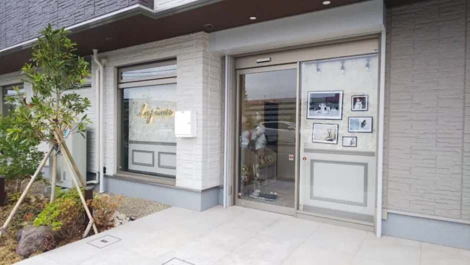 ラピナス美園店