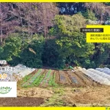 【浦和美園アグリ】野菜のサブスク『農園四季巡り』2026年2月